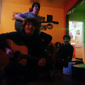 The Moogs